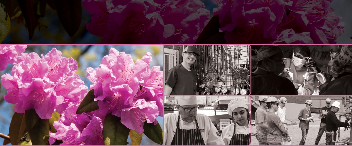 Register for Spring Banner Image