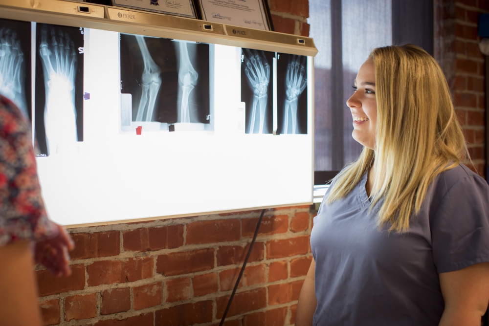 Image of Student Looking at X-Ray