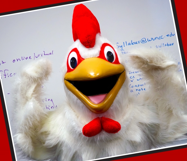 Photo for Tri-Campus Mascot Tryouts