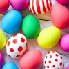 Photo for Egg Hunt Week