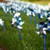 Photo for Pinwheels for Prevention